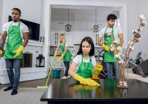 team-cleaning-apartment-with-vacuum-and-cleaning-s-2026-01-06-10-19-24-utc (1)